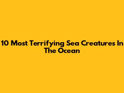 10 Most Terrifying Sea Creatures In The Ocean