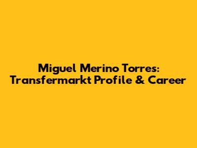 Miguel Merino Torres: Transfermarkt Profile & Career