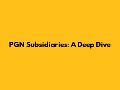 PGN Subsidiaries: A Deep Dive